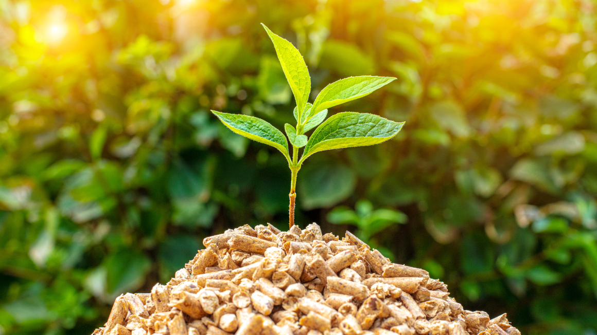 Biomasse - Kleiner Haufen Holzpellets mit grünen Blättern darauf.