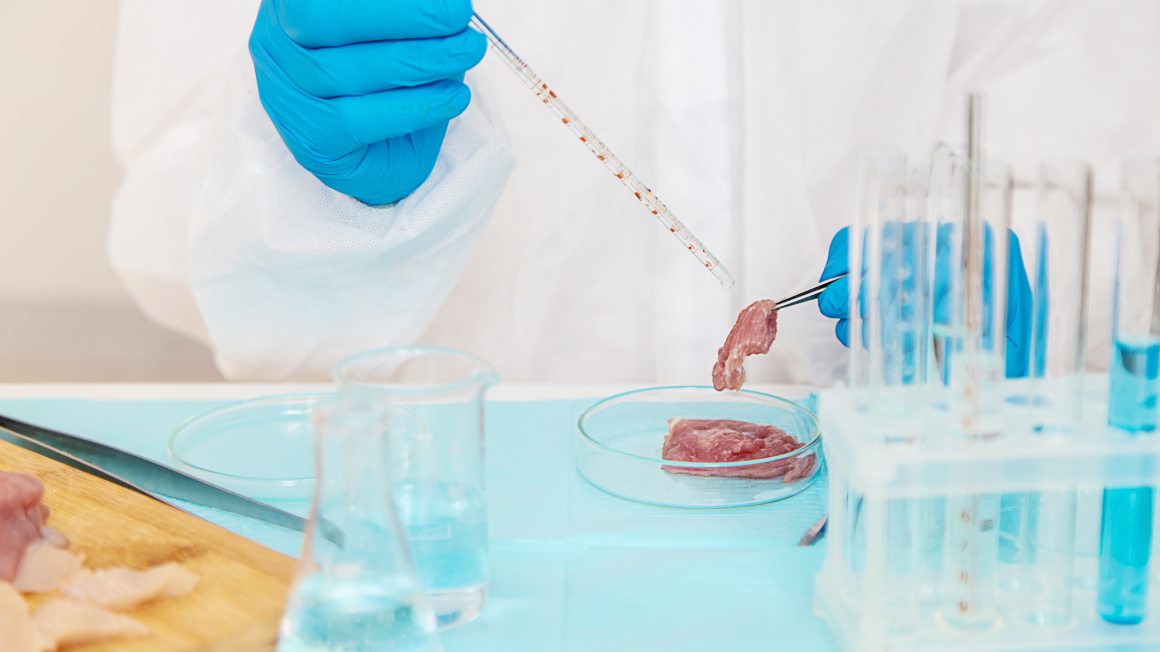 Laborfleisch in Petrischale 
