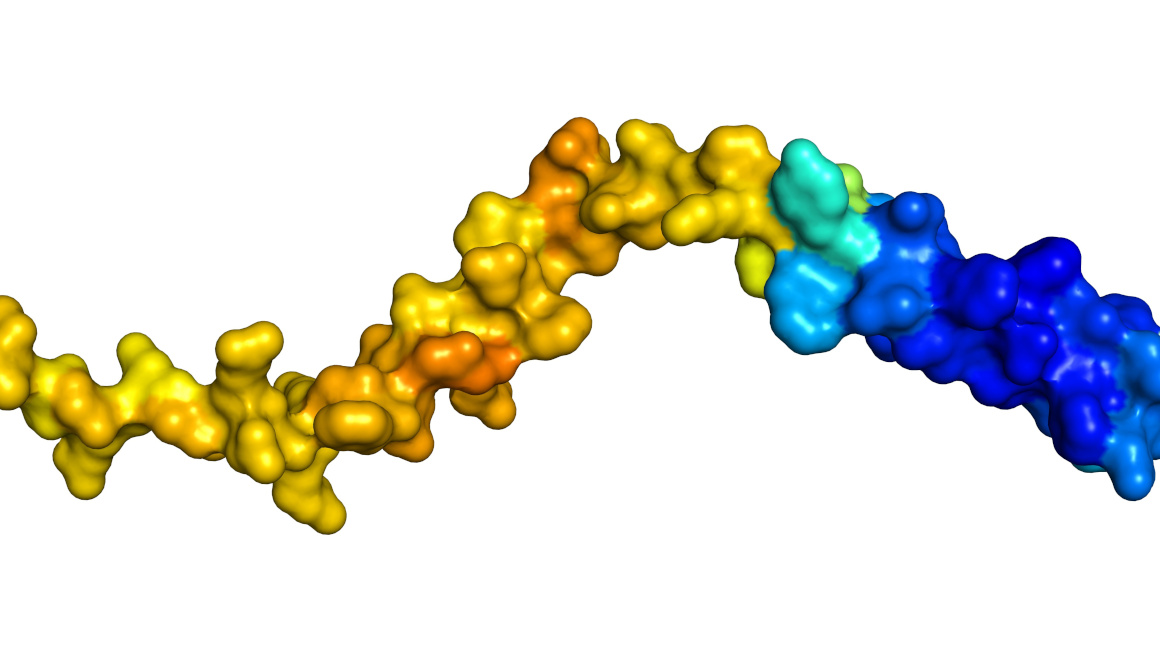 3D-Darstellung des uncharakterisierten Proteins C4orf3, wie von Alphafold vorhergesagt und entsprechend der Zuverlässigkeit des Modells farblich gekennzeichnet.
