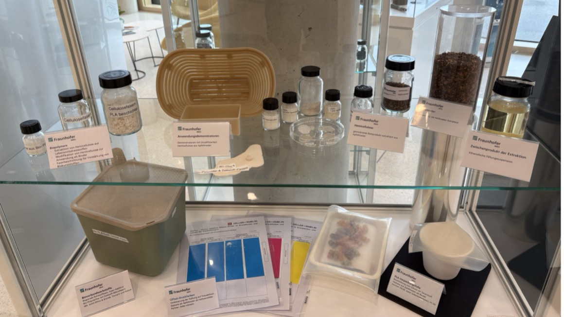 Exponate im Foyer der Fraunhofer-Einrichtung IWKS Alzenau zu Materialanwendungen von Glykanen