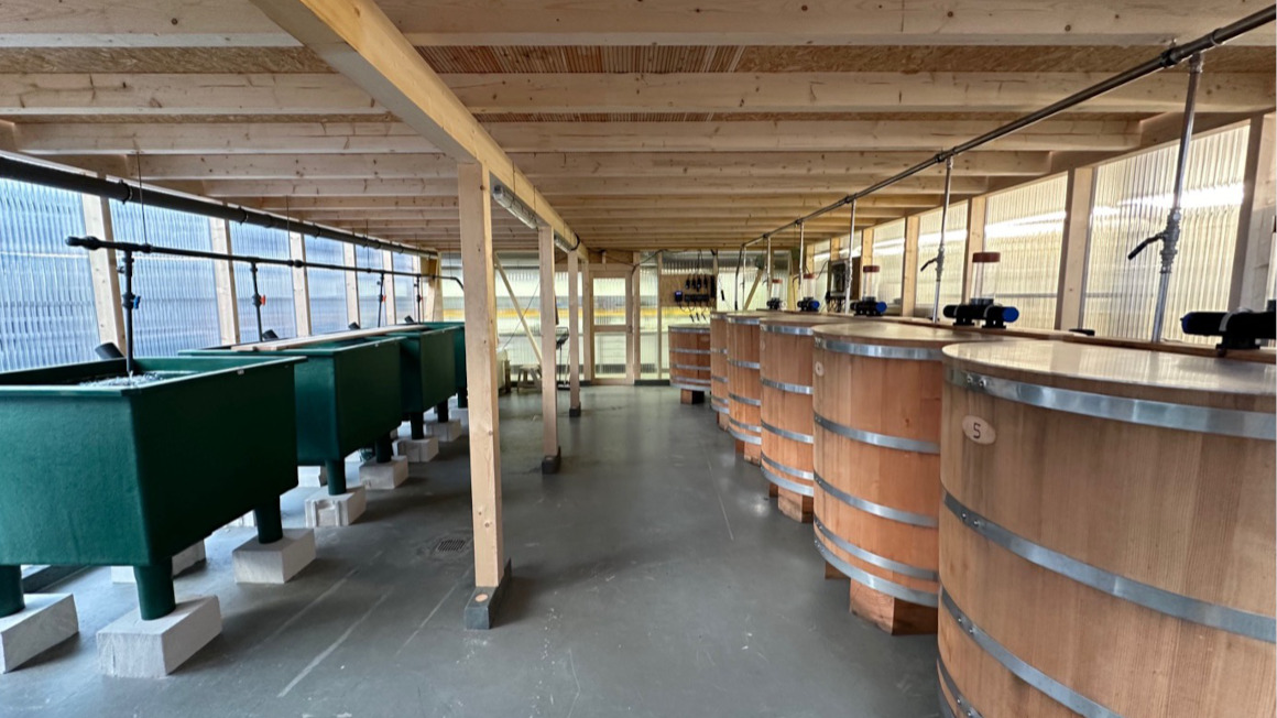 Experimentelle Garnelenfarm an der Justus-Liebig-Universität Gießen.