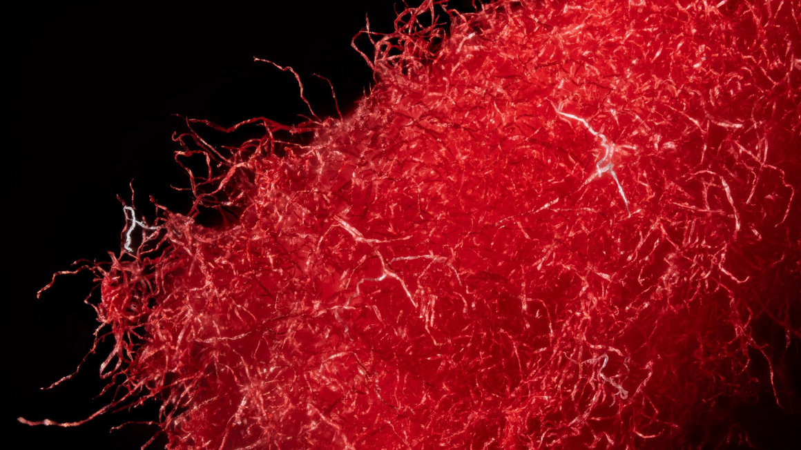 Fasern aus roten Servietten