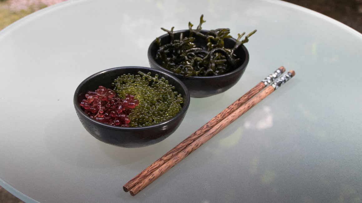 Botryocladia pseudodichotoma enthält viel Magnesium und Kalium. Caulerpa lentillifera wirkt stark antioxidativ. Codium taylorii besitzt ebenfalls ausgeprägte antioxidative Eigenschaften und ist zudem proteinreicher als die anderen Algen.