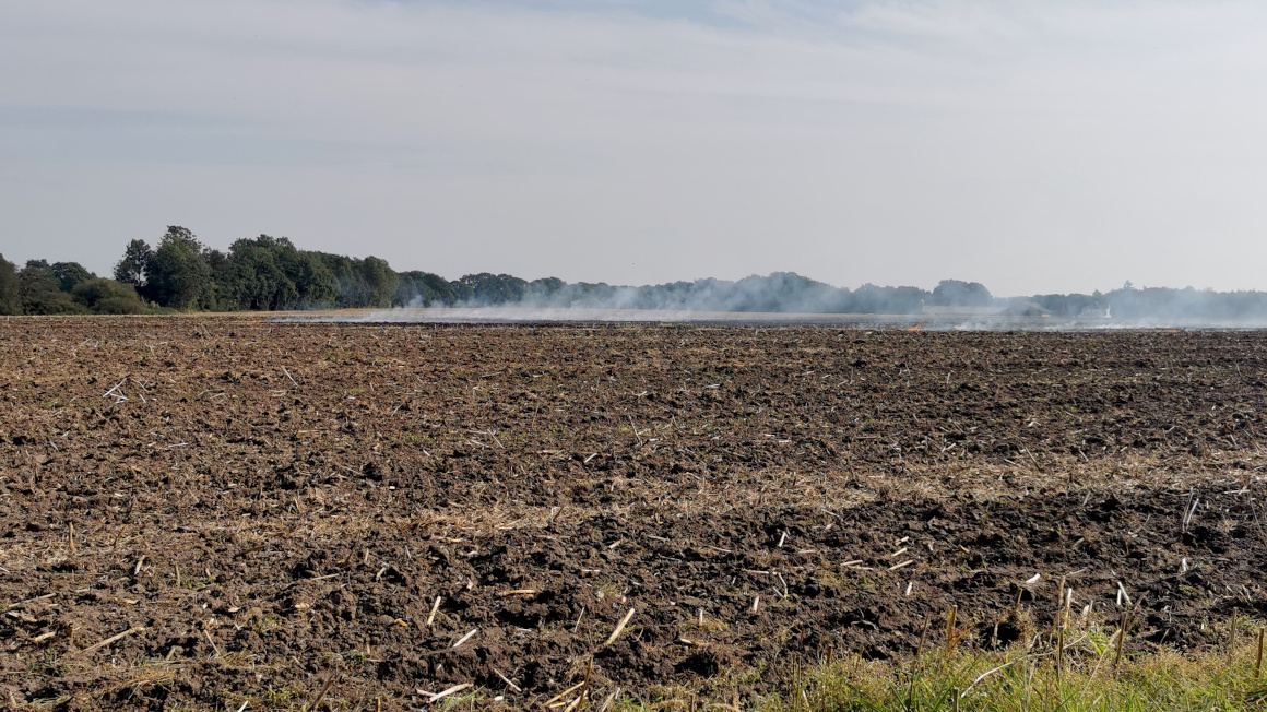 Kontaminierter Boden