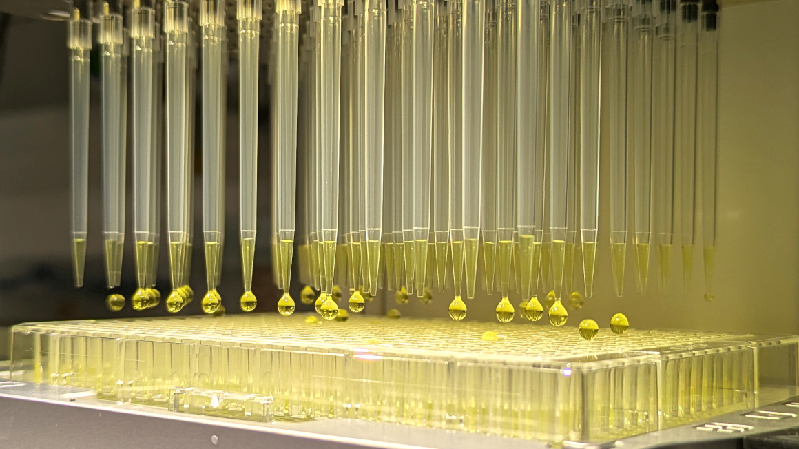 Multipipetten im Hochdurchsatz-Roboter