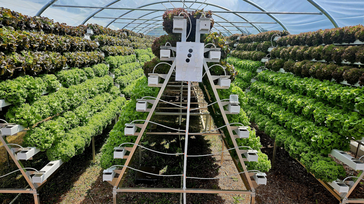 Seitenansicht des A-förmigen Vertical-Farming-Moduls des Startups Pflanzentheke GmbH