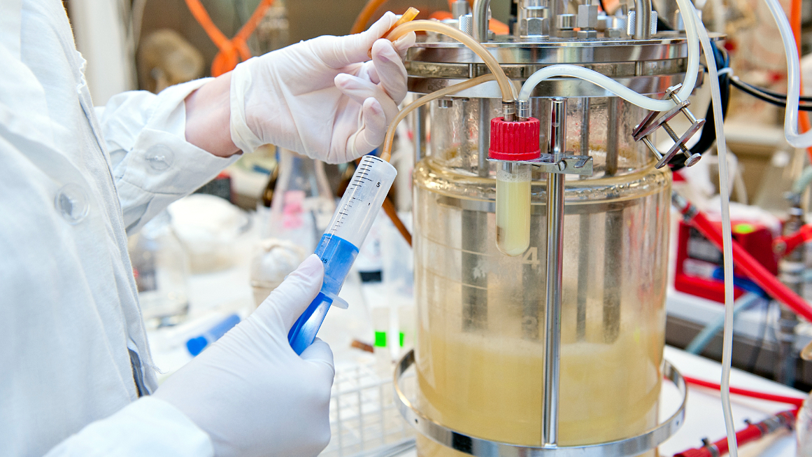 Bioreaktor Fermenter Mikroorganismen (Symbolbild)