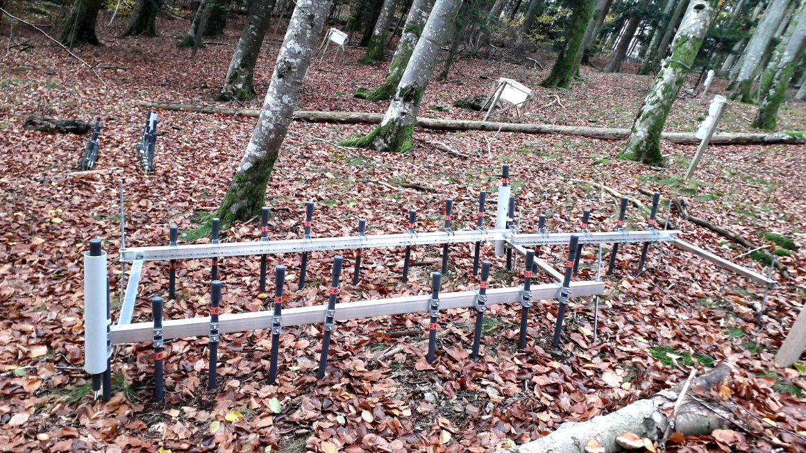 Messung der Methanaufnahme im Waldboden. 