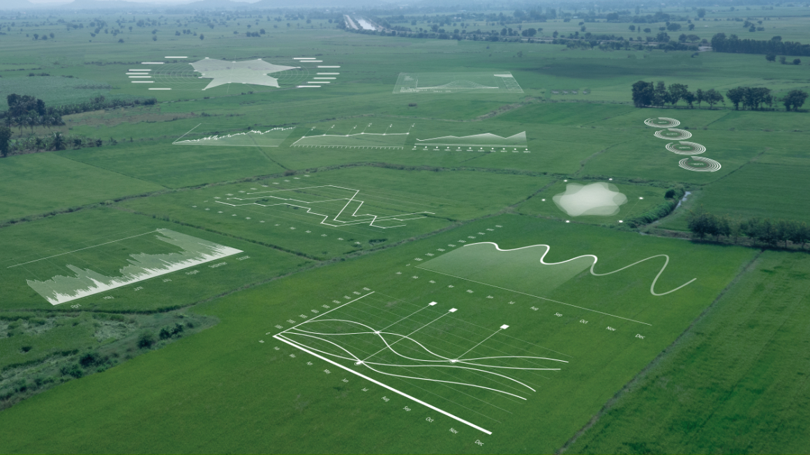 Big Data in der Landwirtschaft und Pflanzenzüchtung. (Symbolbild)