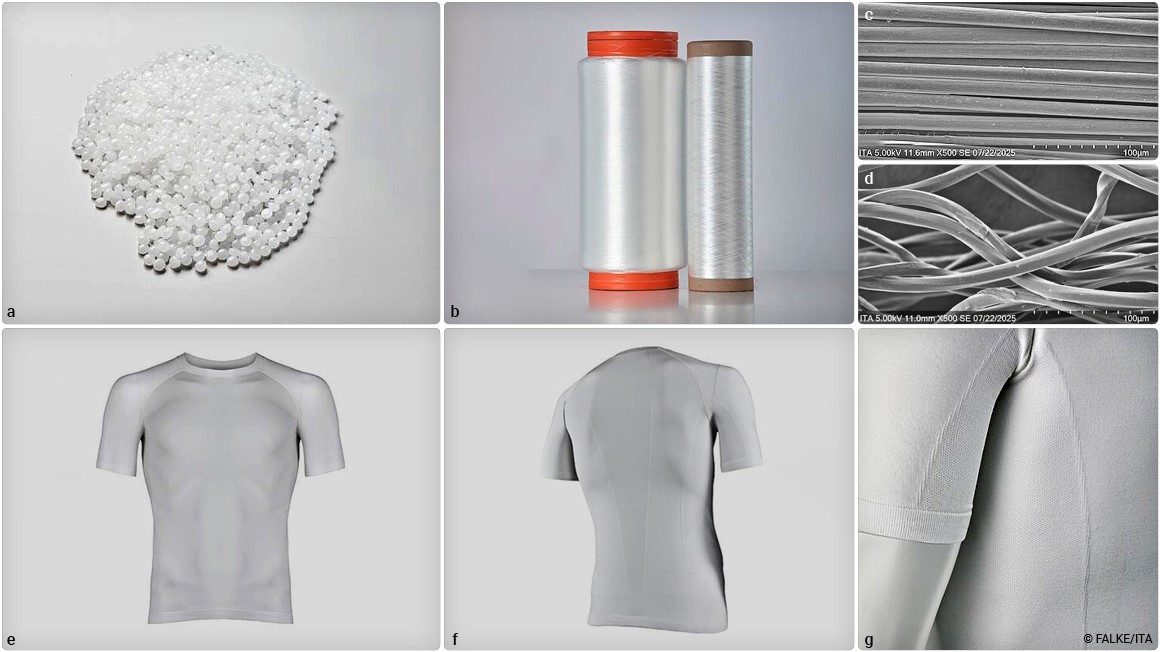 Schritte zur Herstellung eines T-Shirts aus biobasiertem Polyethylen.