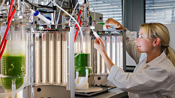 Algenaufzucht mit Hightech-Leuchten: Dank raffinierter LED-Technik simulieren Münchner Biotechnologen verschiedene Lichtsituationen und fahnden nach den produktivsten Algen. 