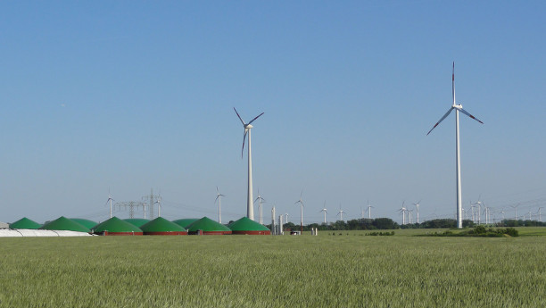 Biogas- und Windkraftanlagen: Bei der Stromerzeugung aus Biomasse setzt die Bundesregierung auf Flexibilisierung.