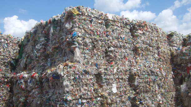 Ein europäisches Konsortium unter deutscher Federführung will Bakterien dazu bringen, Kunststoffabfällen in Bioplastik zu verwandeln.