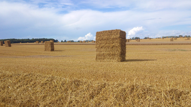 Stroh gehört noch immer zu der am wenigsten genutzten Biomasse in Deutschland. Derweil könnte man damit kostengünstig Heizen. 