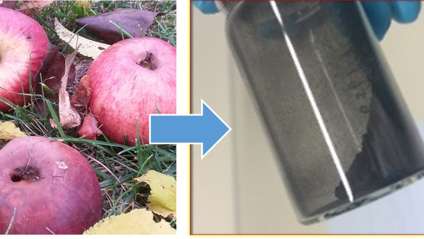 Das neue kohlenstoffbasierte Material für Natrium-Ionen-Batterien kann aus Äpfeln gewonnen werden.