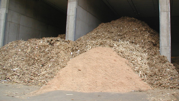 Holzabfälle sind ein günstiger und umweltfreundlicher Ausgangstoff zu Herstellung der wichtigen Grundchemikalie Bernsteinsäure.