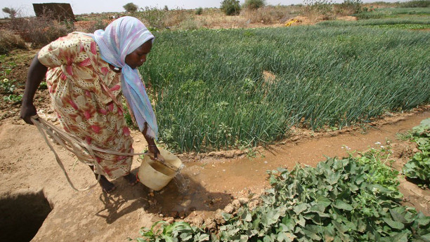 Länder der südlichen Sahara wie Sudan haben die meisten unnutzbaren Bodenflächen. Mit Anreizen könnten Bauern zur nachhaligen Landnutzung motiviert werden. 