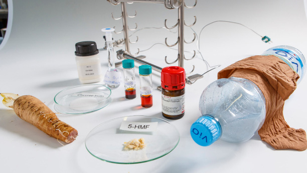 Ob Strumpf oder Plastikflasche - Wissenschaftler der Universität Hohenheim ebnen den Weg für Qualitätsprodukte aus Chicorée-Abfällen