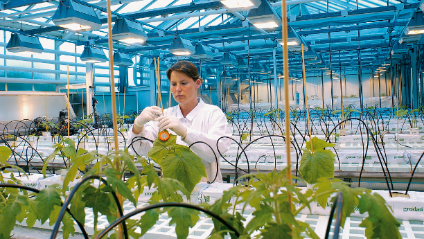 Bayer will seine Pflanzenschutzsparte durch eine Fusion mit Monsanto stärken. 
