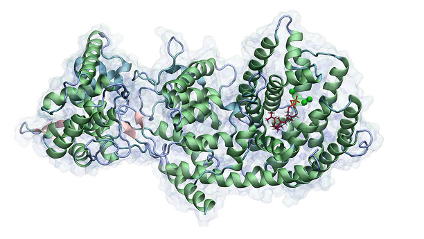 Taxadien Synthase mit dem Substrat Geranylgeranyldiphosphat in der aktiven Tasche des Enzymes. Die grünen Punkte zeigen die katalytisch relevanten Mg2+-Ionen.