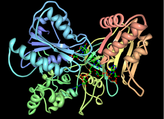Pflanzliches Enzym P450
