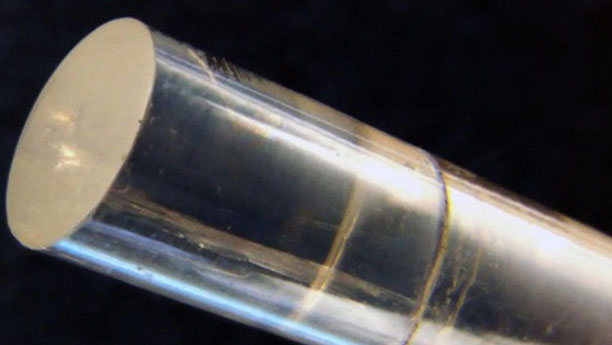 Ein perfekter Glasstab: Ein Schwamm lebt auf solchen Silikatnadeln. Sie sind äußerst akkurat von winzigen Poren durchsetzt.
