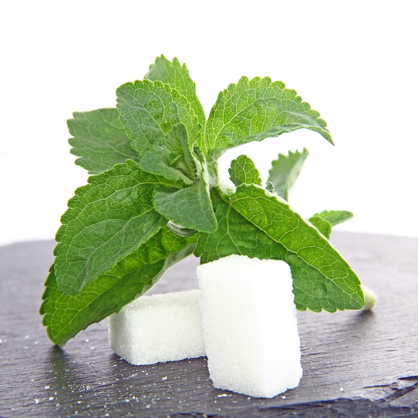 Stevia Stevia