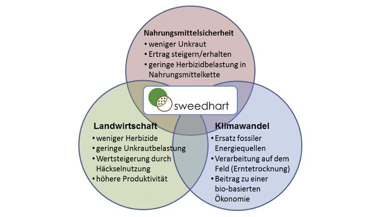 Schaubild zum Projekt Sweedhart - Vorteile