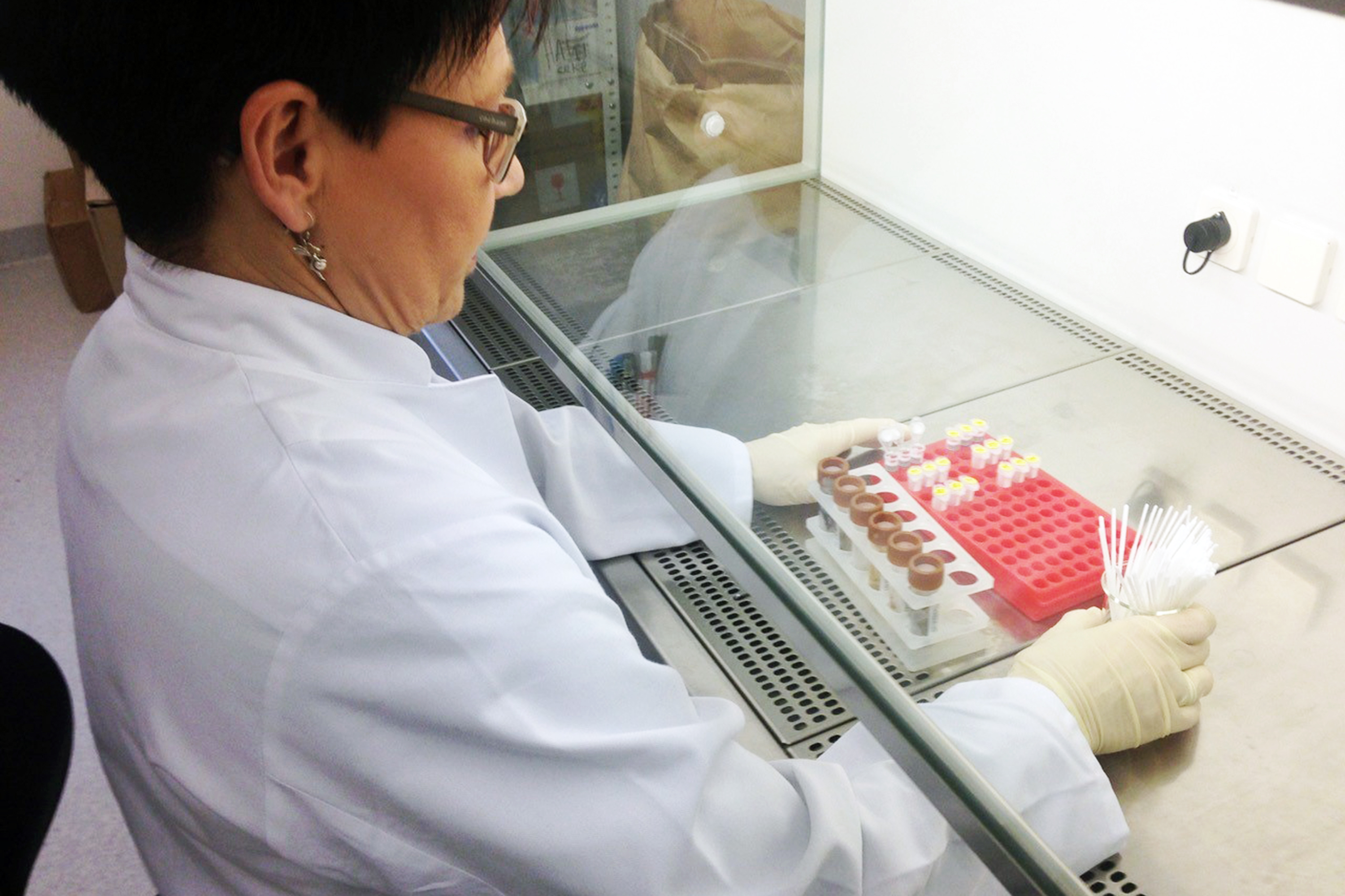 Für die Analyse der Zusammensetzung der Darmflora werden die Stuhlproben im Labor vorbereitet.