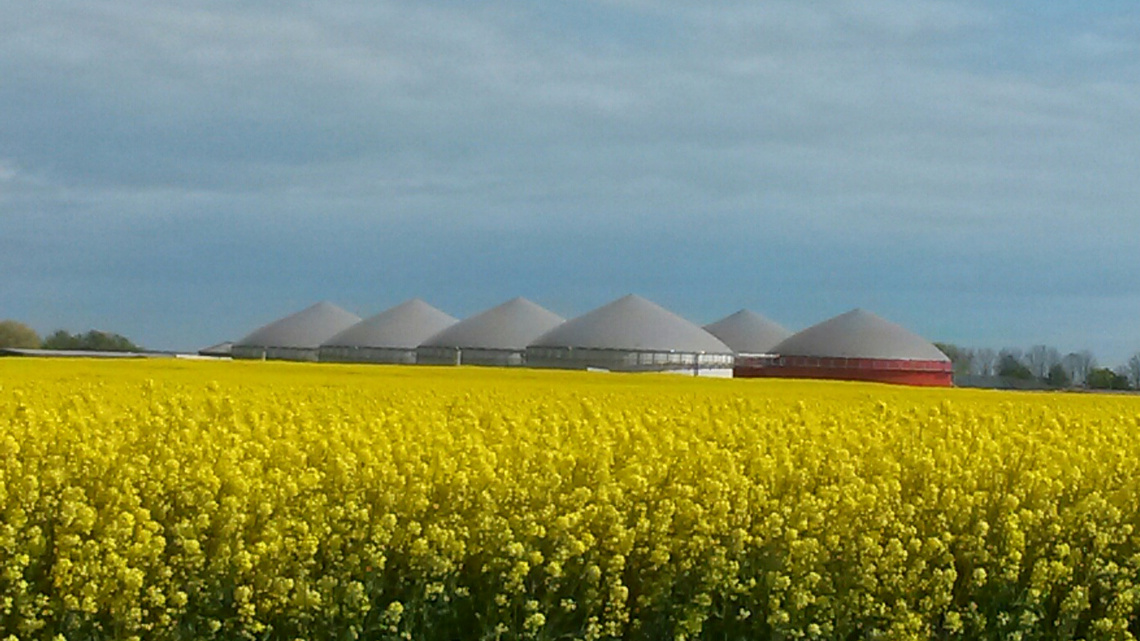 Biogasanlage auf Rügen