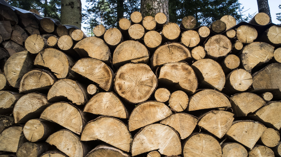 Holzeinschlag, Rodung und andere Formen veränderter Landnutzung führen zu höheren CO2-Emissionen als bisher vermutet