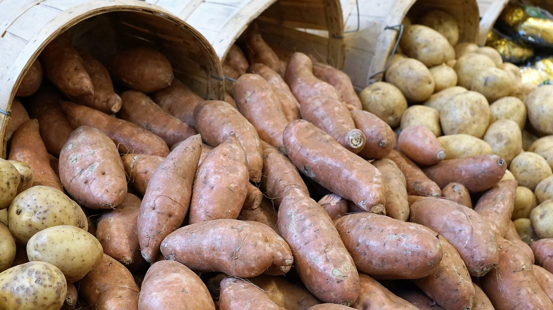 Kartoffel haben viel Kohlenhydrate wie pflanzliche Stärke, mithilfe von Enzymen zu energiereichen Stoffen werden.