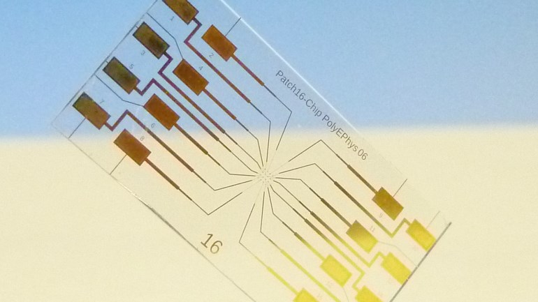 Nanion, Patch-Clamp, Elektrophysiologie, Biotechnologie