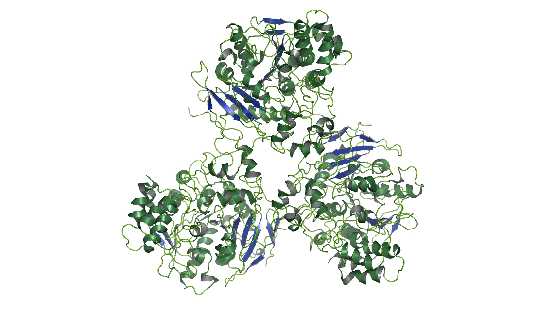 Molekülstruktur der Leberesterase, die Enzymicals für chemische Synthesen einsetzt. 
