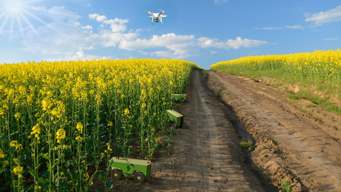Collage Vision: Digitalisierte Landwirtschaft mit Mini-Robotern und Drohne.