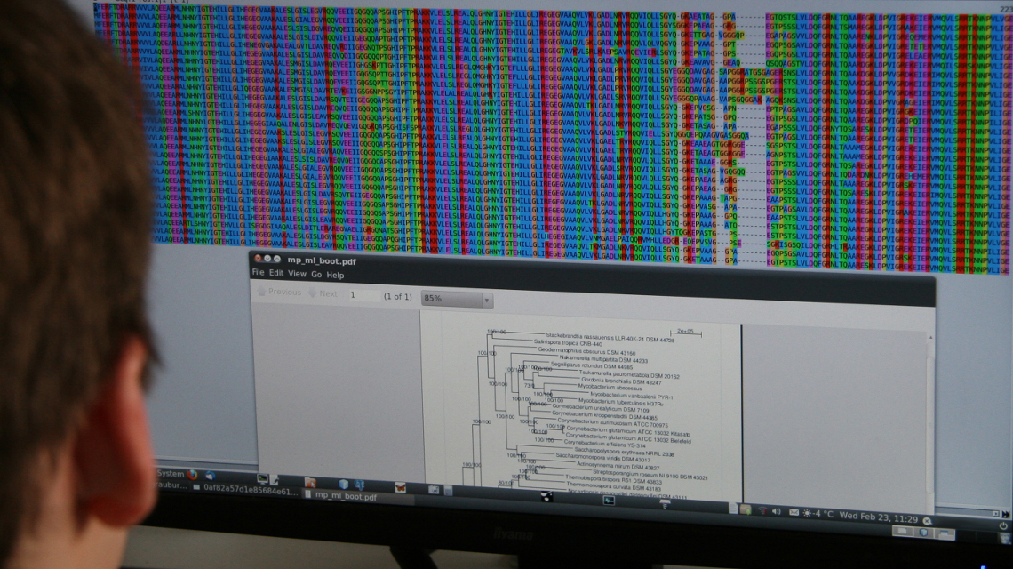 Forschern ist es gelungen, weitere Lücken im Stammbaums des Lebens mit Genomsequenzen zu schließen.