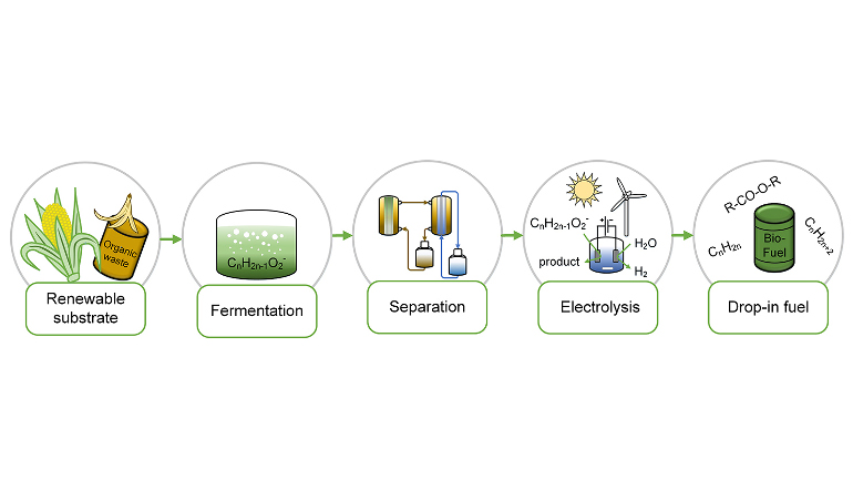 Vereinfachte Darstellung des kombinierten mikrobiellen elektrochemischen Verfahrens.