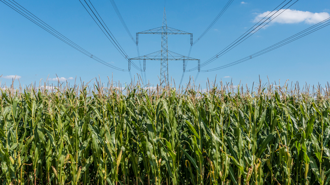 Drop-in Kraftstoff aus Biomasse und elektrischer Energie.