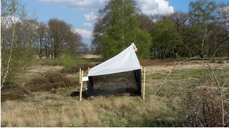 Malaise-Falle im Naturschutzgebiet nahe einer landwirtschaftlich genutzten Fläche.