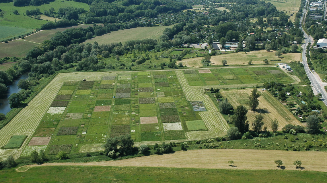 Luftbild des Jena Experiments: Parzellen der Biodiversitätsforschung.