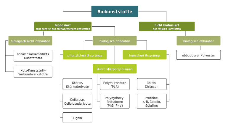 Organigramm Biokunststoffe - biobasierte Kunststoffe