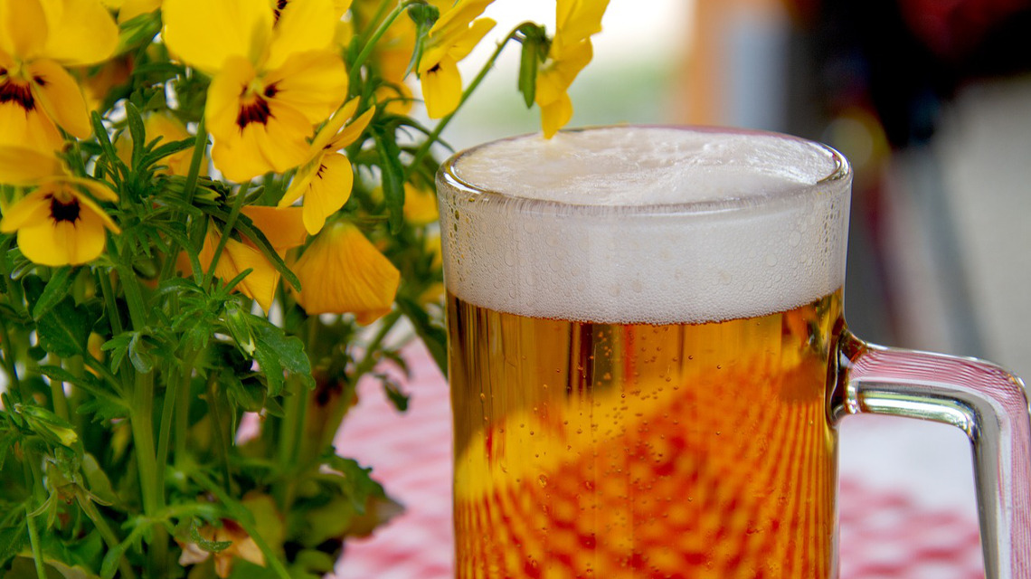 Beim Bierbrauen fallen viele Rückstände an, die für neue biobasierte Produkte wertvoll sein könnten.