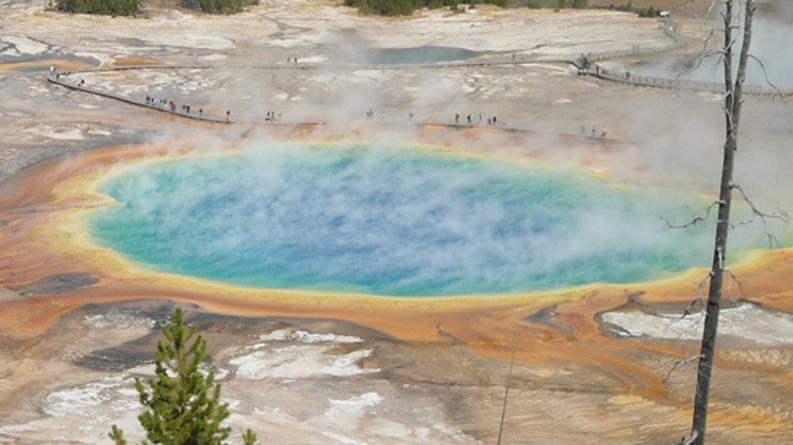 : Im „Grand Prismatic Spring“ im Yellowstone Nationalpark leben thermophile Mikroorganismen, für deren Enzyme sich die Industrie interessiert.