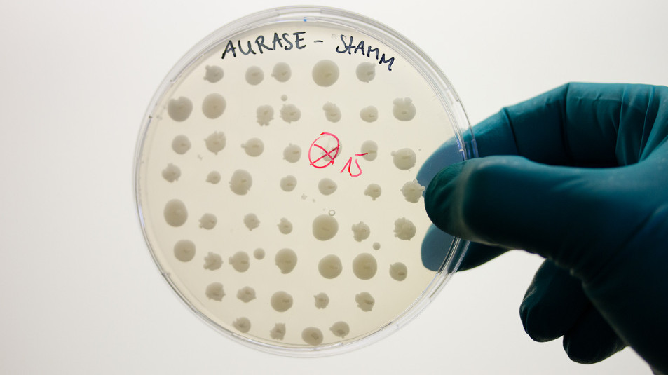 SolasCure wird Medizinprodukte vermarkten, die auf dem neuen von der BRAIN AG entwickelten enzymatischen Wirkstoff Aurase beruhen.