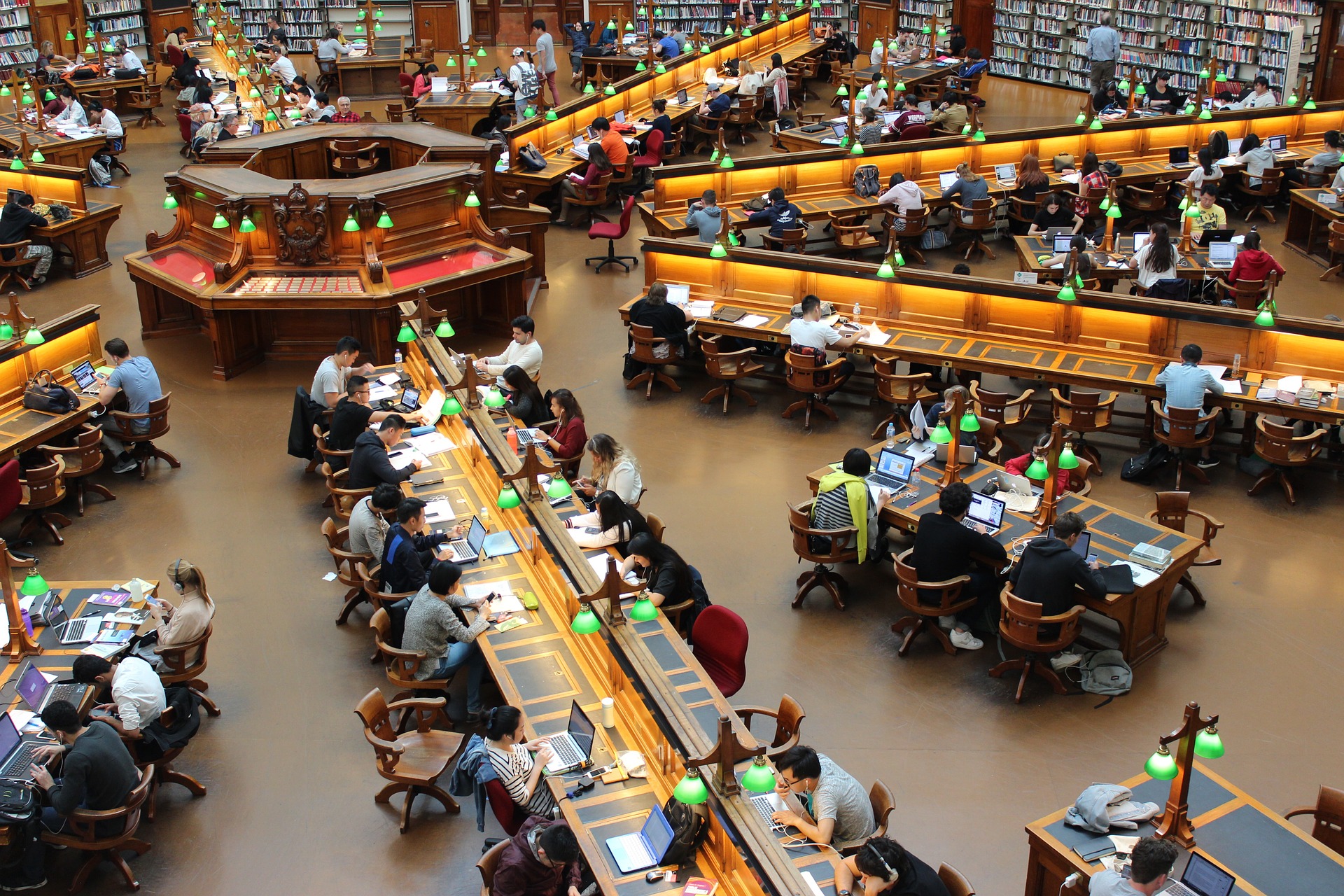 Studierende in einer Bibliothek