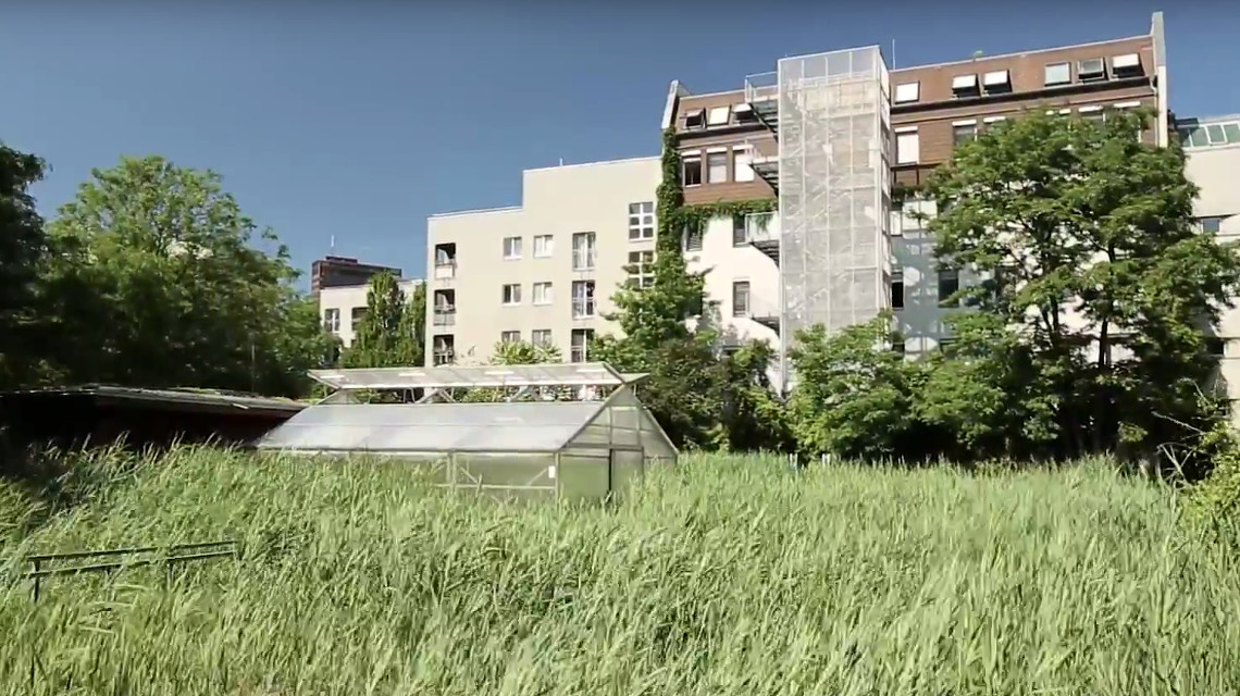 Auch beim Projekt „Roof Water Farm“ in Berlin wird urbane Landwirtschaft erprobt.