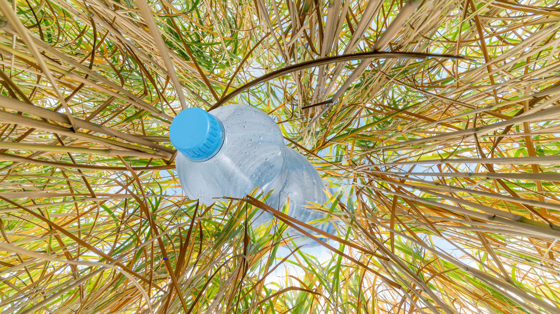 Das neue Bioraffinerie-Technikum der Universität Hohenheim: So wird Gras zu Plastik-Flaschen