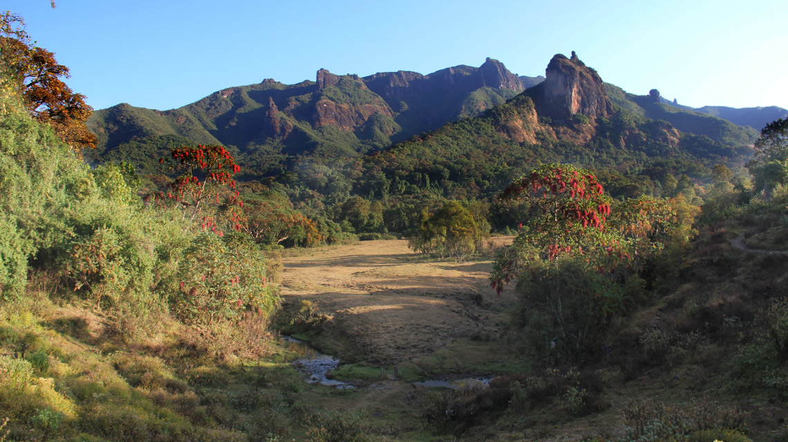 Ein Beispiel für eine besonders hohe Variation an Waldtypen – und entsprechend hoher regionaler Artenvielfalt – ist das bergige Waldgebiet Harenna in Äthiopien.
