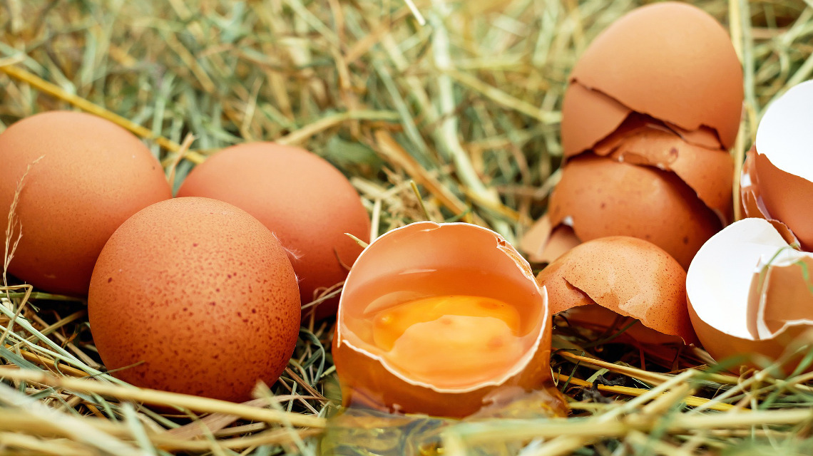 Eierschalen bestehen aus porösem Calciumcarbonat, das sich sehr gut für elektrochemische Speicher eignet. 