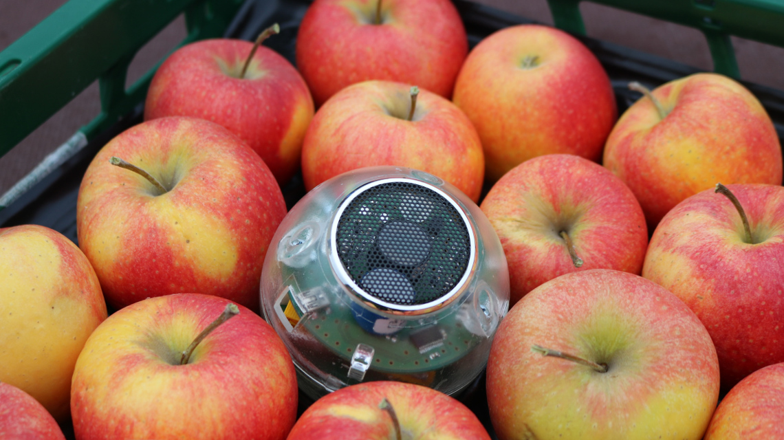 Die neue Respirationsmesskugel eignet sich für den mobilen Einsatz im Obstlager.